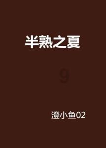 淅川县盛湾镇卫生院进行DIP医保改革再培训
